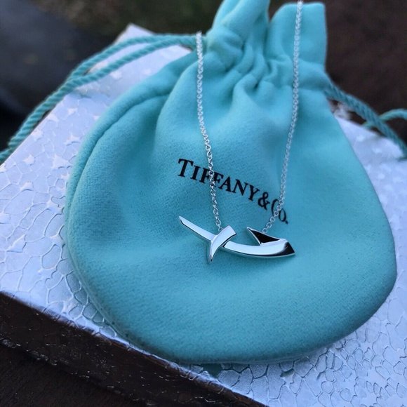NEW Beautiful Tiffany & Co. Paloma Picasso Sterling Silver Sagittarius Necklace - Picture 3 of 5